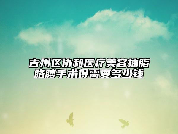吉州区协和医疗美容抽脂胳膊手术得需要多少钱