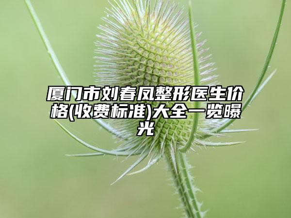 厦门市刘春凤整形医生价格(收费标准)大全一览曝光