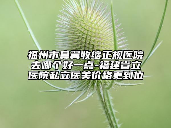 福州市鼻翼收缩正规医院去哪个好一点-福建省立医院私立医美价格更到位
