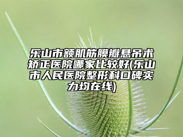 乐山市额肌筋膜瓣悬吊术矫正医院哪家比较好(乐山市人民医院整形科口碑实力均在线)