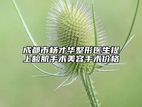 成都市杨才华整形医生提上睑肌手术美容手术价格