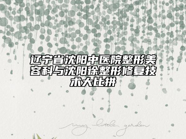 辽宁省沈阳中医院整形美容科与沈阳徐整形修复技术大比拼