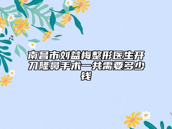 南昌市刘益梅整形医生开刀隆鼻手术一共需要多少钱
