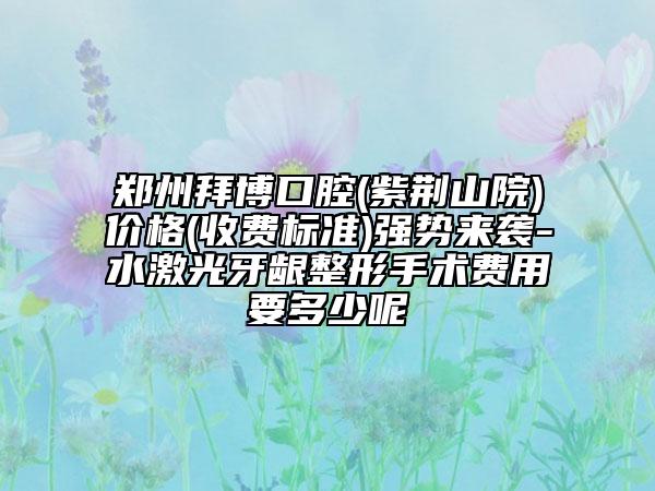 郑州拜博口腔(紫荆山院)价格(收费标准)强势来袭-水激光牙龈整形手术费用要多少呢