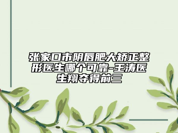 张家口市阴唇肥大矫正整形医生哪个可靠-王涛医生翔夺得前三
