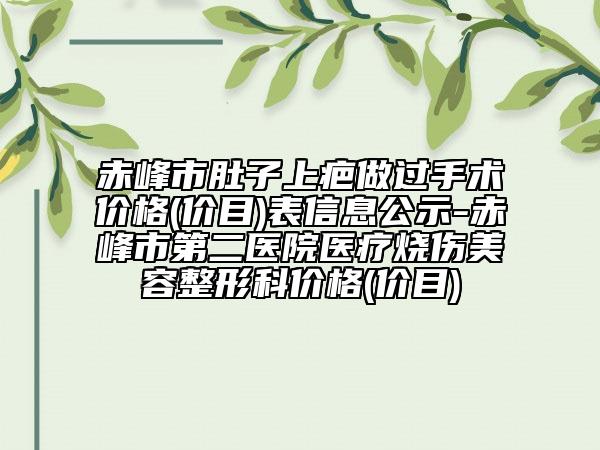 赤峰市肚子上疤做过手术价格(价目)表信息公示-赤峰市第二医院医疗烧伤美容整形科价格(价目)