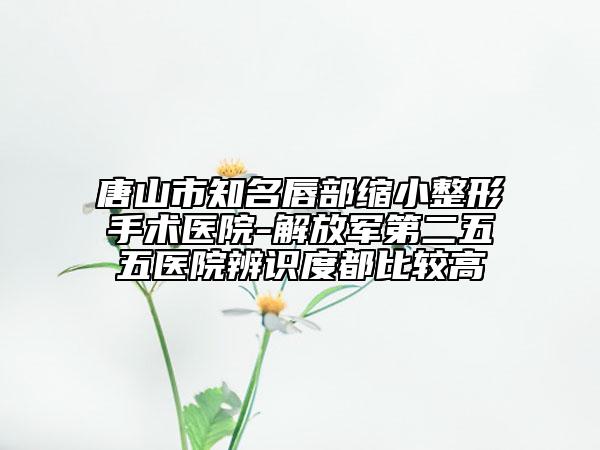 唐山市知名唇部缩小整形手术医院-解放军第二五五医院辨识度都比较高