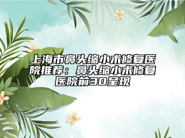 上海市鼻头缩小术修复医院推荐：鼻头缩小术修复医院前30呈现
