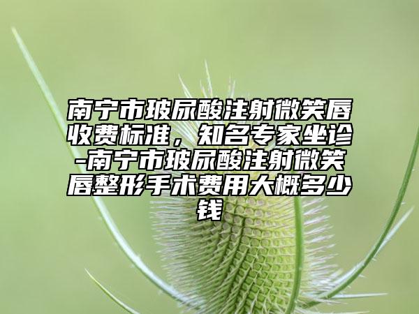 南宁市玻尿酸注射微笑唇收费标准，知名专家坐诊-南宁市玻尿酸注射微笑唇整形手术费用大概多少钱