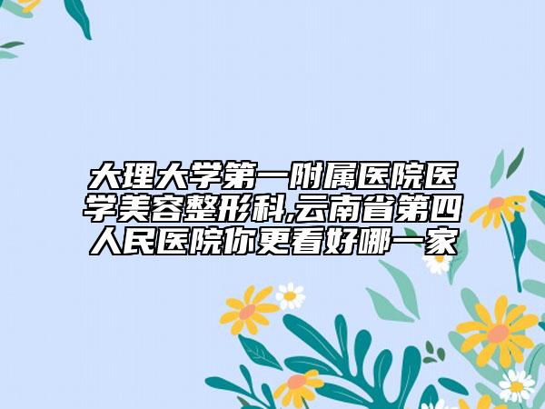 大理大学第一附属医院医学美容整形科,云南省第四人民医院你更看好哪一家