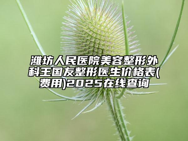 潍坊人民医院美容整形外科王国友整形医生价格表(费用)2025在线查询