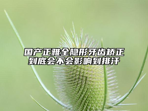 国产正雅全隐形牙齿矫正到底会不会影响到排汗