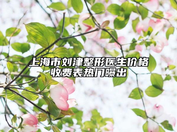 上海市刘津整形医生价格收费表热门曝出