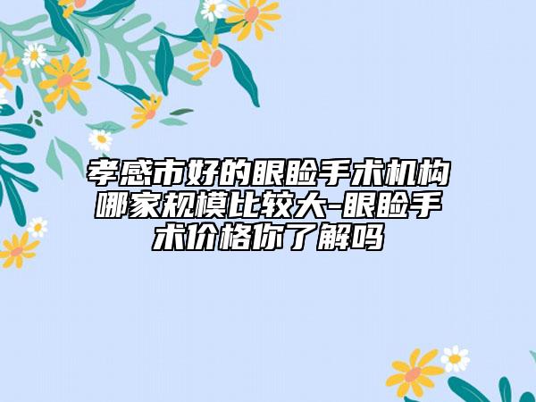 孝感市好的眼睑手术机构哪家规模比较大-眼睑手术价格你了解吗