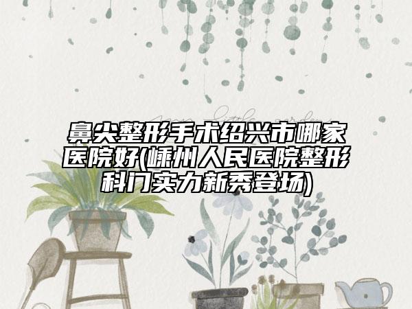 鼻尖整形手术绍兴市哪家医院好(嵊州人民医院整形科门实力新秀登场)