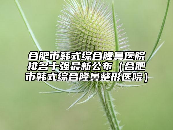 合肥市韩式综合隆鼻医院排名十强最新公布（合肥市韩式综合隆鼻整形医院）