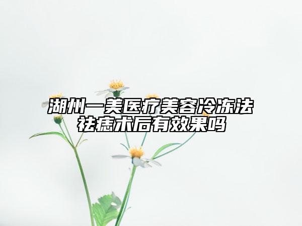 湖州一美医疗美容冷冻法祛痣术后有效果吗
