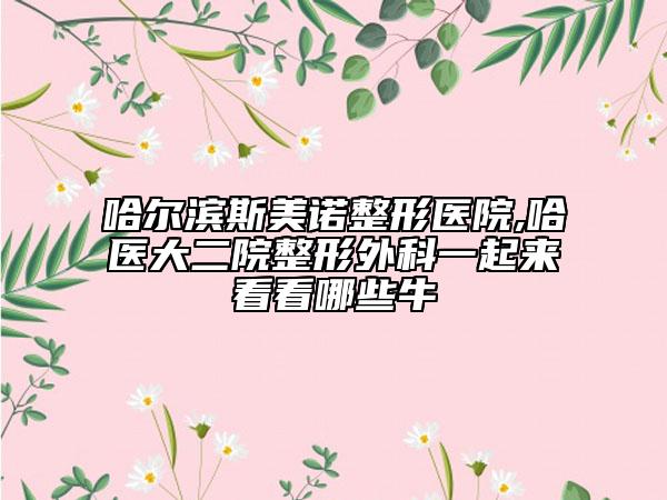 哈尔滨斯美诺整形医院,哈医大二院整形外科一起来看看哪些牛