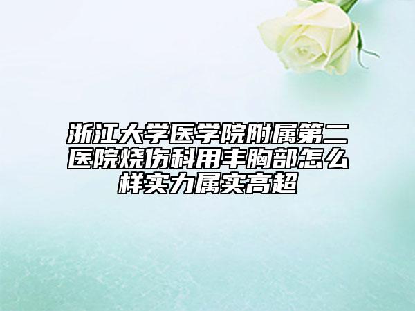浙江大学医学院附属第二医院烧伤科用丰胸部怎么样实力属实高超