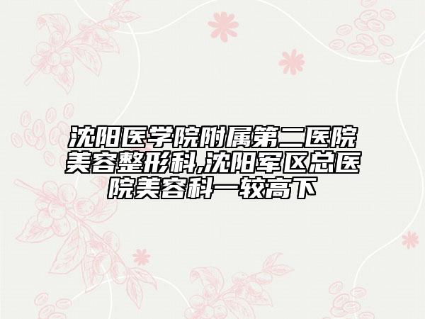 沈阳医学院附属第二医院美容整形科,沈阳军区总医院美容科一较高下