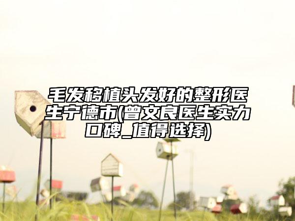 毛发移植头发好的整形医生宁德市(曾文良医生实力口碑_值得选择)