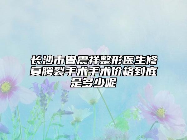 长沙市曾震祥整形医生修复腭裂手术手术价格到底是多少呢