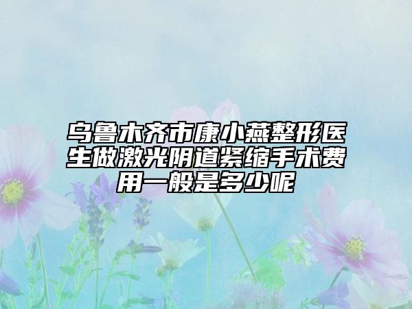 乌鲁木齐市康小燕整形医生做激光阴道紧缩手术费用一般是多少呢
