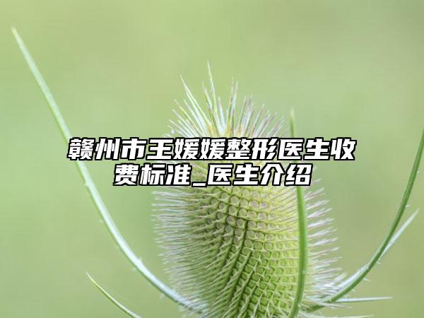 赣州市王媛媛整形医生收费标准_医生介绍