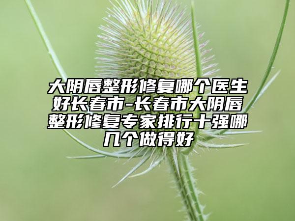 大阴唇整形修复哪个医生好长春市-长春市大阴唇整形修复专家排行十强哪几个做得好