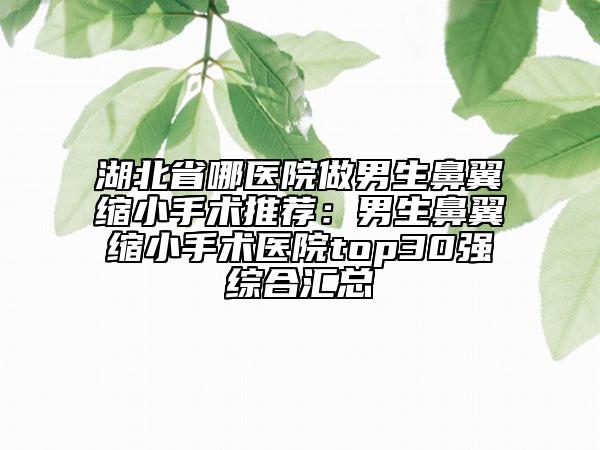 湖北省哪医院做男生鼻翼缩小手术推荐：男生鼻翼缩小手术医院top30强综合汇总