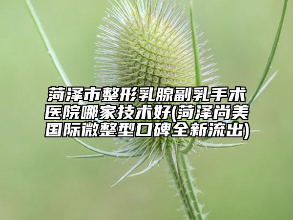 菏泽市整形乳腺副乳手术医院哪家技术好(菏泽尚美国际微整型口碑全新流出)