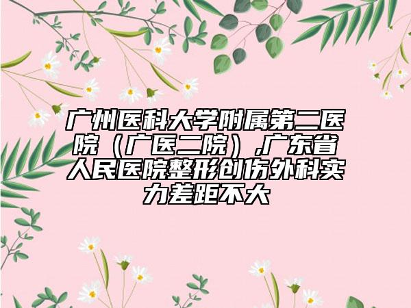 广州医科大学附属第二医院（广医二院）,广东省人民医院整形创伤外科实力差距不大
