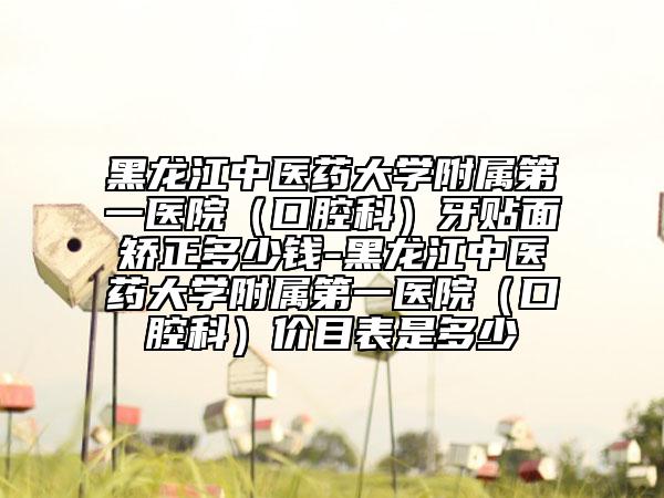 黑龙江中医药大学附属第一医院（口腔科）牙贴面矫正多少钱-黑龙江中医药大学附属第一医院（口腔科）价目表是多少