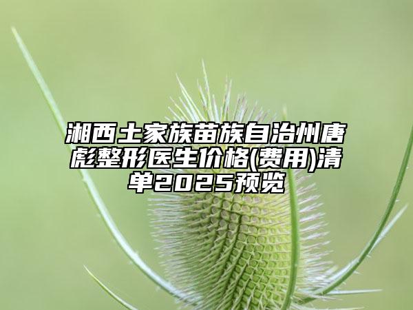 湘西土家族苗族自治州唐彪整形医生价格(费用)清单2025预览