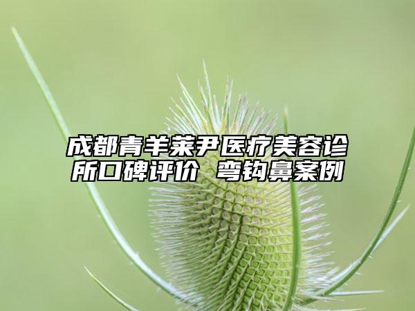 成都青羊莱尹医疗美容诊所口碑评价 弯钩鼻案例
