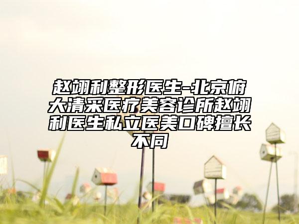 赵翊利整形医生-北京俯大清采医疗美容诊所赵翊利医生私立医美口碑擅长不同
