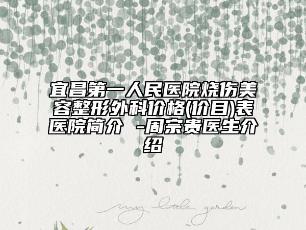 宜昌第一人民医院烧伤美容整形外科价格(价目)表医院简介 -周宗贵医生介绍