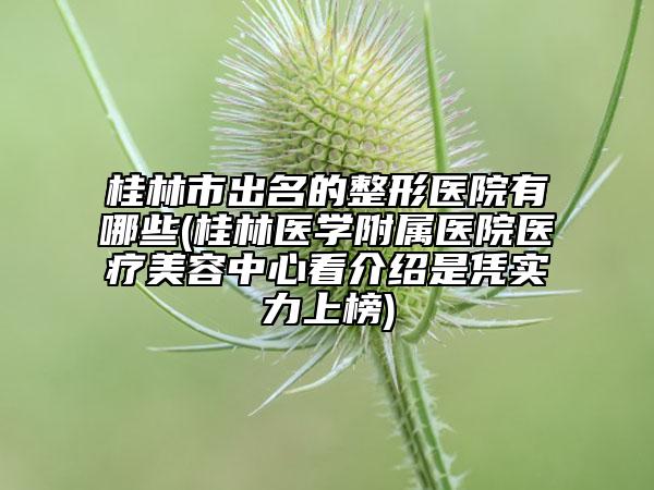 桂林市出名的整形医院有哪些(桂林医学附属医院医疗美容中心看介绍是凭实力上榜)