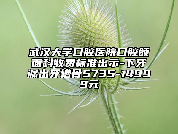 武汉大学口腔医院口腔颌面科收费标准出示-下牙漏出牙槽骨5735-14999元