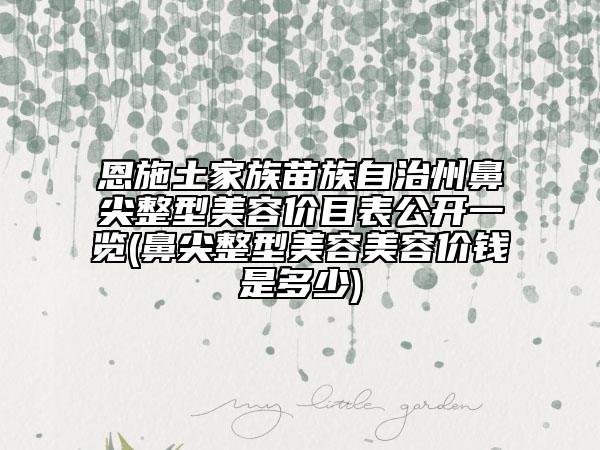 恩施土家族苗族自治州鼻尖整型美容价目表公开一览(鼻尖整型美容美容价钱是多少)
