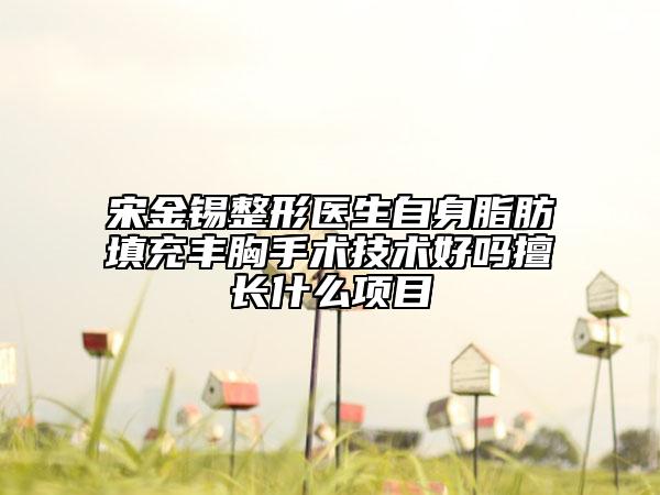 宋金锡整形医生自身脂肪填充丰胸手术技术好吗擅长什么项目