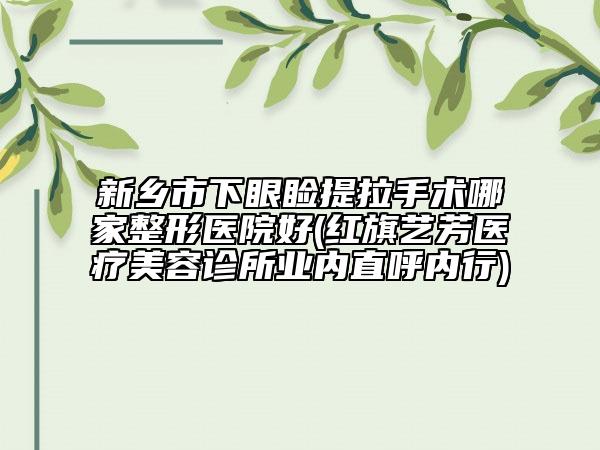 新乡市下眼睑提拉手术哪家整形医院好(红旗艺芳医疗美容诊所业内直呼内行)