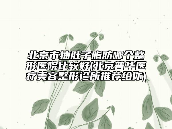 北京市抽肚子脂肪哪个整形医院比较好(北京普华医疗美容整形诊所推荐给你)