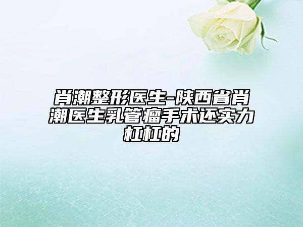 肖潮整形医生-陕西省肖潮医生乳管瘤手术还实力杠杠的