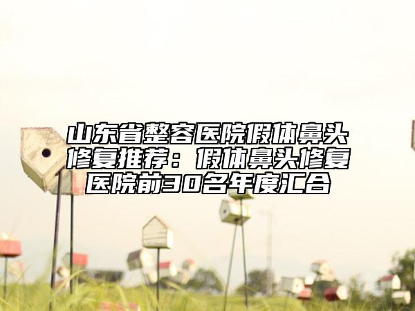 山东省整容医院假体鼻头修复推荐：假体鼻头修复医院前30名年度汇合