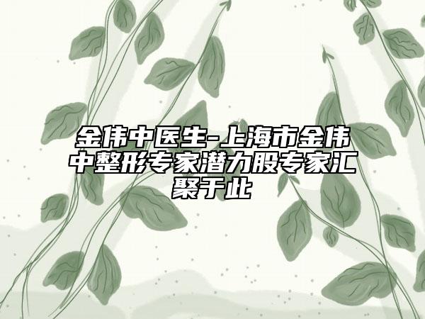 金伟中医生-上海市金伟中整形专家潜力股专家汇聚于此