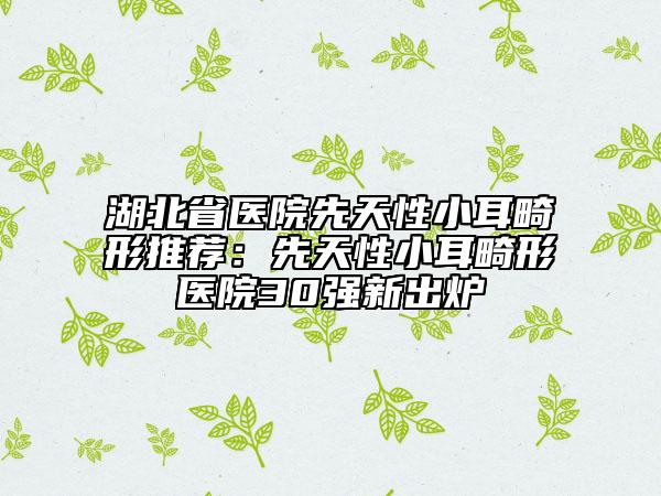 湖北省医院先天性小耳畸形推荐：先天性小耳畸形医院30强新出炉