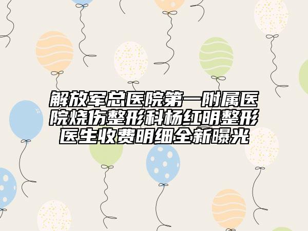 解放军总医院第一附属医院烧伤整形科杨红明整形医生收费明细全新曝光