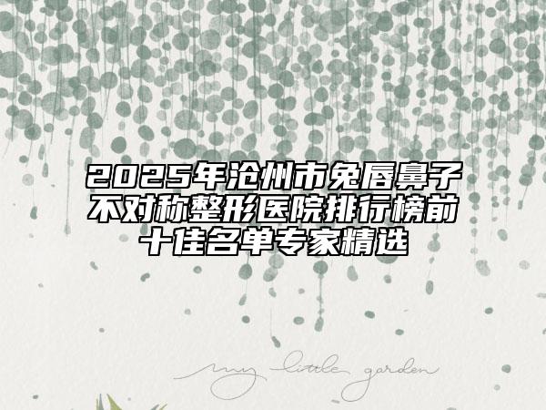 2025年沧州市兔唇鼻子不对称整形医院排行榜前十佳名单专家精选