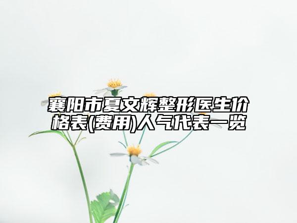 襄阳市夏文辉整形医生价格表(费用)人气代表一览